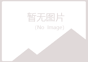 黄山区盼夏咨询有限公司